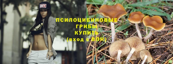 мяу мяу мука Абаза